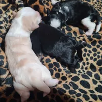 processed/a694a29b-c823-4c07-b367-511d2b2595a1/facility/01aa166b-9235-4563-93ed-31f59cc431b6