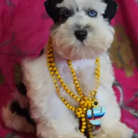 processed/a694a29b-c823-4c07-b367-511d2b2595a1/facility/0d847983-2f21-40f5-9af9-46fa4d613e65