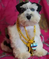 processed/a694a29b-c823-4c07-b367-511d2b2595a1/facility/0d847983-2f21-40f5-9af9-46fa4d613e65