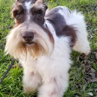 processed/a694a29b-c823-4c07-b367-511d2b2595a1/facility/27456b58-3e6b-41f4-b17c-0517d3de9083