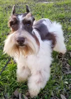 processed/a694a29b-c823-4c07-b367-511d2b2595a1/facility/27456b58-3e6b-41f4-b17c-0517d3de9083