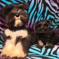 processed/a694a29b-c823-4c07-b367-511d2b2595a1/facility/5d15f88b-941f-4a94-8e8b-44ba17ed1ba3