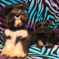 processed/a694a29b-c823-4c07-b367-511d2b2595a1/facility/5d15f88b-941f-4a94-8e8b-44ba17ed1ba3