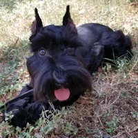 processed/a694a29b-c823-4c07-b367-511d2b2595a1/facility/64cd74e9-a038-4e95-aa4b-adff47965910