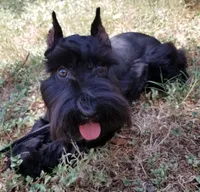 processed/a694a29b-c823-4c07-b367-511d2b2595a1/facility/64cd74e9-a038-4e95-aa4b-adff47965910