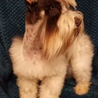 processed/a694a29b-c823-4c07-b367-511d2b2595a1/facility/7271063c-b4d6-4369-a7ba-87038c89393b