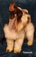 processed/a694a29b-c823-4c07-b367-511d2b2595a1/facility/7271063c-b4d6-4369-a7ba-87038c89393b