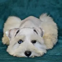 processed/a694a29b-c823-4c07-b367-511d2b2595a1/facility/822c9ceb-c859-4251-b890-f8c7267652cd