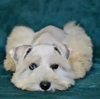 processed/a694a29b-c823-4c07-b367-511d2b2595a1/facility/822c9ceb-c859-4251-b890-f8c7267652cd