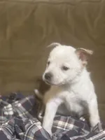 processed/a6aac0b2-70d0-411e-85b1-4c94809cd7c1/listing/56135b11-b139-42a7-83d3-ef560d2bc7ad/044a4c1f-3f0e-47e7-81c3-0518e7ff7a88