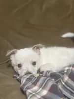 processed/a6aac0b2-70d0-411e-85b1-4c94809cd7c1/listing/56135b11-b139-42a7-83d3-ef560d2bc7ad/363586f0-0d27-40ea-9a15-2b8321f6fd8a