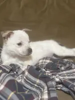 processed/a6aac0b2-70d0-411e-85b1-4c94809cd7c1/listing/56135b11-b139-42a7-83d3-ef560d2bc7ad/379aacf7-5b88-48a5-98c9-c06ce14f9c38