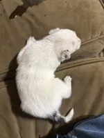 processed/a6aac0b2-70d0-411e-85b1-4c94809cd7c1/listing/56135b11-b139-42a7-83d3-ef560d2bc7ad/8e788eb2-255c-4689-a70f-2468380b9cc3