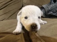 processed/a6aac0b2-70d0-411e-85b1-4c94809cd7c1/listing/56135b11-b139-42a7-83d3-ef560d2bc7ad/955789ec-bbf0-45a2-a01b-428feee33f42