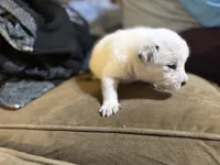 processed/a6aac0b2-70d0-411e-85b1-4c94809cd7c1/listing/56135b11-b139-42a7-83d3-ef560d2bc7ad/a73c2541-8056-44ba-ba69-32c517da0cd5