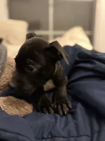 processed/a6aac0b2-70d0-411e-85b1-4c94809cd7c1/listing/f448af75-8135-4aba-942f-6b4d7fbdf8ec/65da1c4a-a467-476c-934d-b80397116bdd