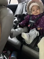 processed/a6aac0b2-70d0-411e-85b1-4c94809cd7c1/listing/f448af75-8135-4aba-942f-6b4d7fbdf8ec/7bbc2c62-93d8-4be9-8f42-226b1885b5f0