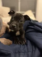 processed/a6aac0b2-70d0-411e-85b1-4c94809cd7c1/listing/f448af75-8135-4aba-942f-6b4d7fbdf8ec/84ce2ac1-b9f0-472e-a76b-cd1643d56707