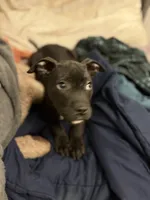 processed/a6aac0b2-70d0-411e-85b1-4c94809cd7c1/listing/f448af75-8135-4aba-942f-6b4d7fbdf8ec/d12d9030-9239-4c1f-bd3e-39bfb60288aa