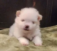 processed/a6ac55c3-4be3-4f61-a298-4a24bfe47209/listing/655b7a17-1b67-49a8-9c38-0fb88852b9f3/ce9c848c-2946-4203-b6ca-1883e3be01a5