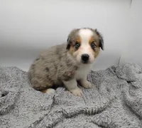 processed/a6b090f2-c5c8-4303-a2f8-6608f765cde7/listing/14aca31d-5d2c-4e5a-a860-f30038d3ef05/83bc33e4-2bfe-464a-b60a-4b2a10611d41