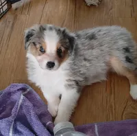 processed/a6b090f2-c5c8-4303-a2f8-6608f765cde7/listing/14aca31d-5d2c-4e5a-a860-f30038d3ef05/8febbf27-29db-4aa0-a5d6-3e366337c023