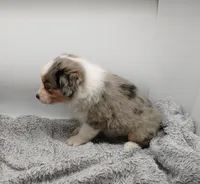 processed/a6b090f2-c5c8-4303-a2f8-6608f765cde7/listing/14aca31d-5d2c-4e5a-a860-f30038d3ef05/dcf74025-2de9-487e-b229-61527713611a