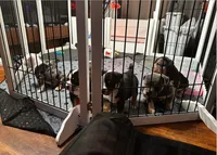 processed/a6b3b66a-7cab-4f97-9f26-46eca93fd2bb/facility/d71f9c11-3c1d-4a83-a804-d746f25d741a