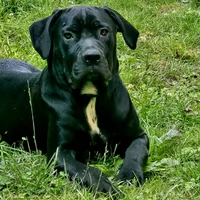 processed/a6b8c9f5-4ca5-4f9f-a079-eff86024cc17/facility/d8ee82d4-2859-42ab-98a9-f41fe19fc4d2