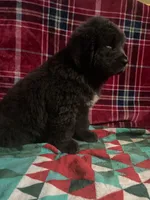 processed/a6c79cd9-b98f-4087-9f5d-b088719f7e12/listing/f263f2f1-9728-4196-bfec-abb0dd5ef345/3ddc81e7-5f10-4dcb-9948-90394a383f4c