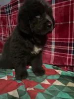 processed/a6c79cd9-b98f-4087-9f5d-b088719f7e12/listing/f263f2f1-9728-4196-bfec-abb0dd5ef345/88973556-778a-48c0-962b-49c7886d6ab8