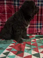 processed/a6c79cd9-b98f-4087-9f5d-b088719f7e12/listing/f263f2f1-9728-4196-bfec-abb0dd5ef345/b6bb7b86-2e9c-4c28-95eb-462e2c775f0a