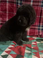 processed/a6c79cd9-b98f-4087-9f5d-b088719f7e12/listing/f263f2f1-9728-4196-bfec-abb0dd5ef345/c560a72f-3314-4148-9a2a-e7b49d08217c