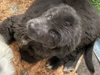 processed/a6c79cd9-b98f-4087-9f5d-b088719f7e12/listing/f263f2f1-9728-4196-bfec-abb0dd5ef345/d4aa3666-a000-435d-b11c-def541ac62b8