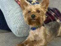 processed/a6c95fd7-4472-489a-96a0-6cefc6acc99a/facility/553f78c5-b916-4b32-80a7-a0c03addf48d