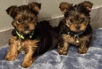 processed/a6c95fd7-4472-489a-96a0-6cefc6acc99a/facility/d3c3928b-17d8-4306-a500-4184d718c77b