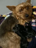 processed/a6c95fd7-4472-489a-96a0-6cefc6acc99a/facility/d5af99e1-fe16-46f3-80ab-48da5776d2ea