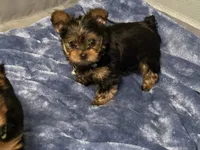 processed/a6c95fd7-4472-489a-96a0-6cefc6acc99a/facility/db214b92-ca30-49b7-b2a7-27ce9d7616df