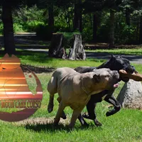 processed/a6d19e12-c0ea-4144-b952-1ac96d2c4bda/facility/161eefa3-e0b0-4bae-beab-f586f01a5bd2