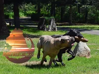 processed/a6d19e12-c0ea-4144-b952-1ac96d2c4bda/facility/161eefa3-e0b0-4bae-beab-f586f01a5bd2