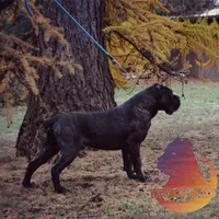 processed/a6d19e12-c0ea-4144-b952-1ac96d2c4bda/facility/e2a71d3b-40aa-4060-8f06-ad57ab9fe1c6