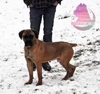 processed/a6d19e12-c0ea-4144-b952-1ac96d2c4bda/listing/19178143-3b49-4ba5-b42a-9a4a3b2096a8/1f6852cb-bb09-4e1d-8e22-1f745ab5291e