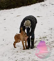 processed/a6d19e12-c0ea-4144-b952-1ac96d2c4bda/listing/19178143-3b49-4ba5-b42a-9a4a3b2096a8/3a91400f-9bf5-4eee-8784-a07a470d71e2