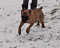 processed/a6d19e12-c0ea-4144-b952-1ac96d2c4bda/listing/19178143-3b49-4ba5-b42a-9a4a3b2096a8/9310b956-9917-4259-9863-600ed86d1b34