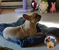 processed/a6d19e12-c0ea-4144-b952-1ac96d2c4bda/listing/3a74d814-e9e6-4713-bf31-edd42db282c5/2e51496f-0152-44a0-b1f9-db9e332120d5