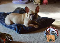 processed/a6d19e12-c0ea-4144-b952-1ac96d2c4bda/listing/3a74d814-e9e6-4713-bf31-edd42db282c5/661bb53a-8af3-426a-b76c-dc2ae9e73299