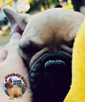 processed/a6d19e12-c0ea-4144-b952-1ac96d2c4bda/listing/3a74d814-e9e6-4713-bf31-edd42db282c5/85b71bc9-dc8d-4f23-b6e8-7a5d023a4b45