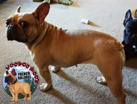 processed/a6d19e12-c0ea-4144-b952-1ac96d2c4bda/listing/3a74d814-e9e6-4713-bf31-edd42db282c5/c59a440e-01c7-4238-8583-b2e0c9934c29