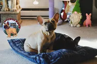 processed/a6d19e12-c0ea-4144-b952-1ac96d2c4bda/listing/3a74d814-e9e6-4713-bf31-edd42db282c5/d3dfe958-c53d-4e06-a755-22d5081391ce