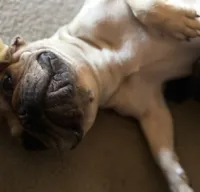 processed/a6d19e12-c0ea-4144-b952-1ac96d2c4bda/listing/3a74d814-e9e6-4713-bf31-edd42db282c5/fc07c7ab-b6f2-4614-b0c1-10cbb4067a07